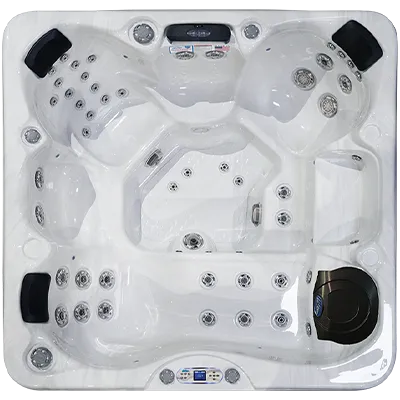 Avalon EC-849L hot tubs for sale in Gilbert