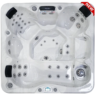 Avalon-X EC-849LX hot tubs for sale in Gilbert